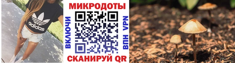 Купить где  Владикавказ  Галлюциногенные грибы Psilocybine cubensis 